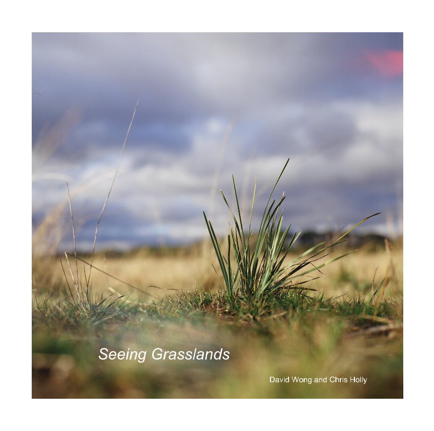 View Seeing Grasslands (Large) by David Wong and Chris Holly