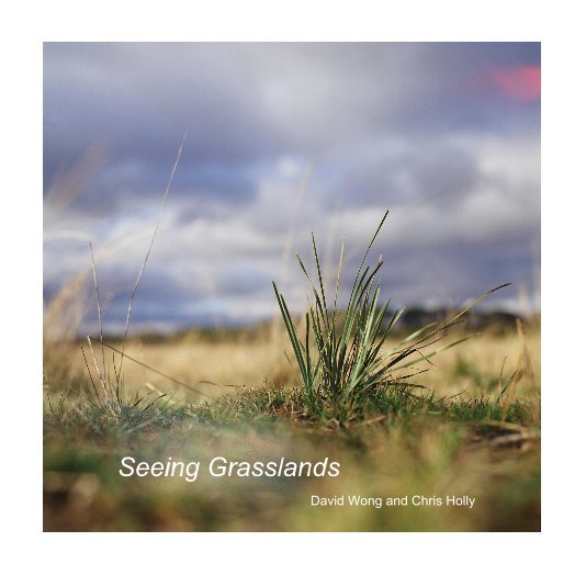 View Seeing Grasslands (Small) by David Wong and Chris Holly
