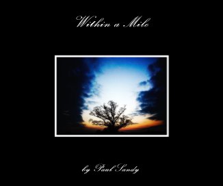 Within a Mile book cover