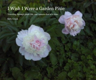 I Wish I Were a Garden Pixie book cover