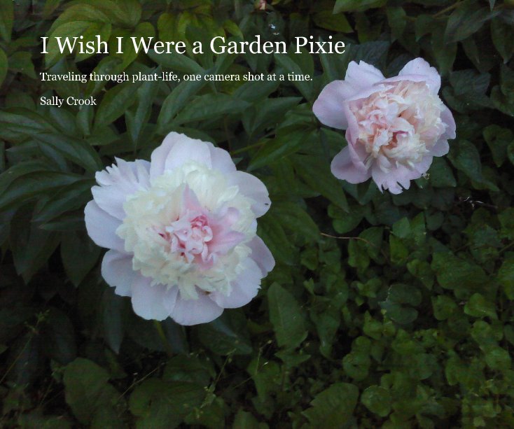 View I Wish I Were a Garden Pixie by Sally Crook