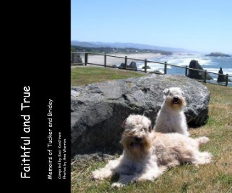 Faithful and True book cover