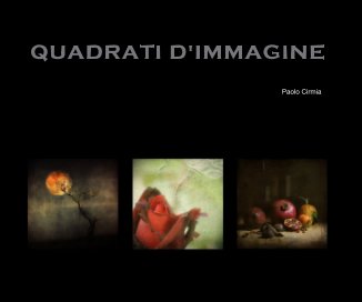 QUADRATI D'IMMAGINE book cover
