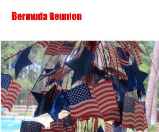 Bermuda Reunion book cover