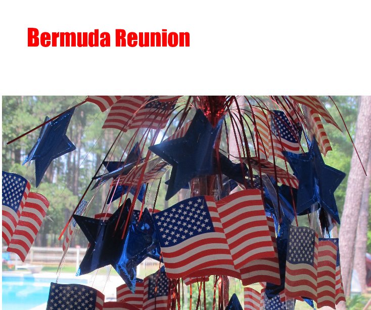 View Bermuda Reunion by Drezek2000