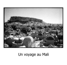 Un voyage au Mali book cover