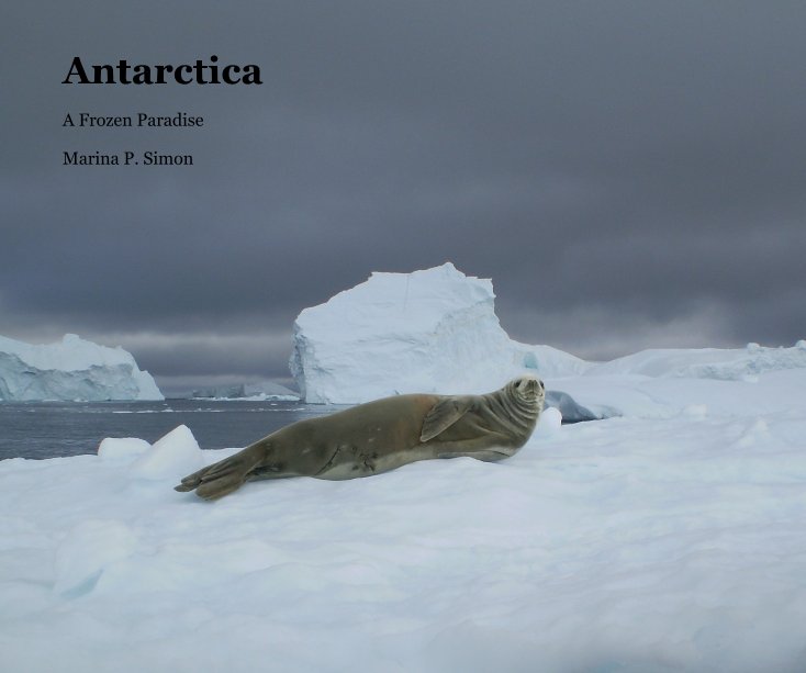 View Antarctica by Marina P. Simon