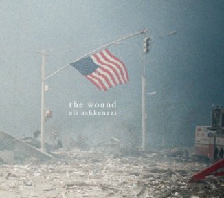 The Wound book cover