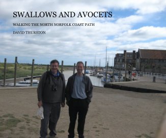 SWALLOWS AND AVOCETS book cover