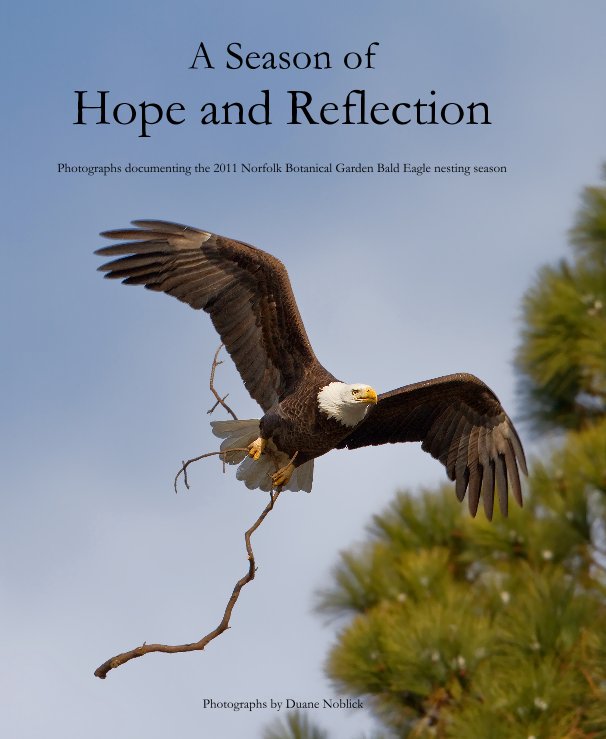 View A Season of Hope and Reflection by Duane Noblick