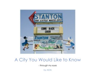 A City You Would Like to Know book cover