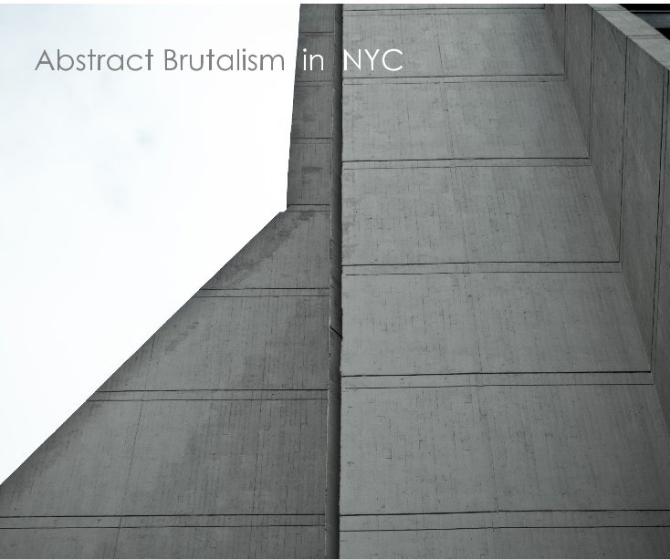 Ver Abstract Brutalism in NYC por Elisa Finoli