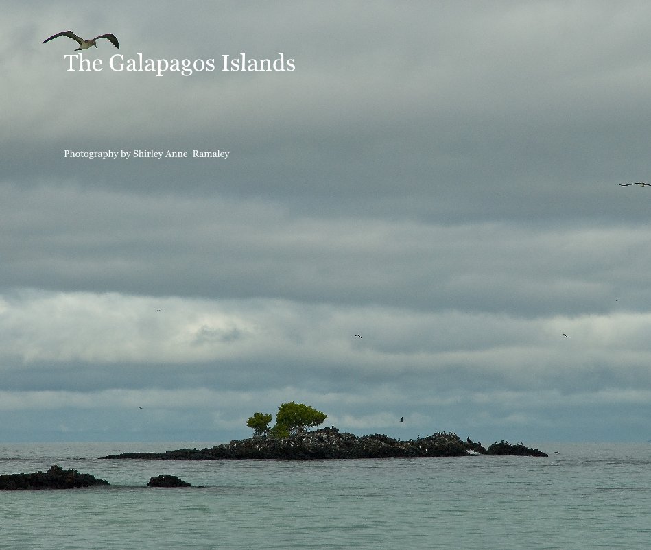 Ver The Galapagos Islands Photography by Shirley Anne Ramaley Â© 2008 por Photography by Shirley Anne Ramaley