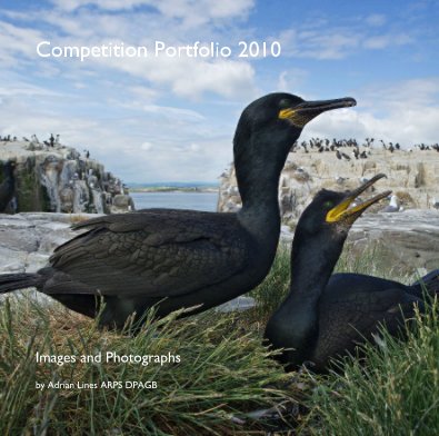 Competition Portfolio 2010 book cover
