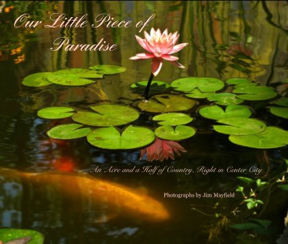 Our Little Piece of Paradise book cover
