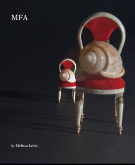 MFA book cover