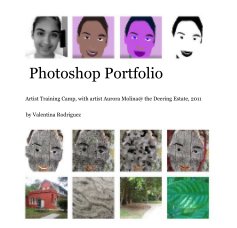 Photoshop Portfolio book cover