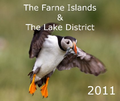The Farne Islands book cover