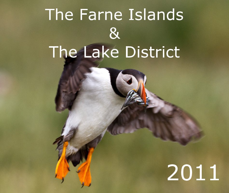 Ver The Farne Islands por aircraftpix