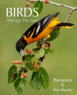 Birds through the Lens book cover