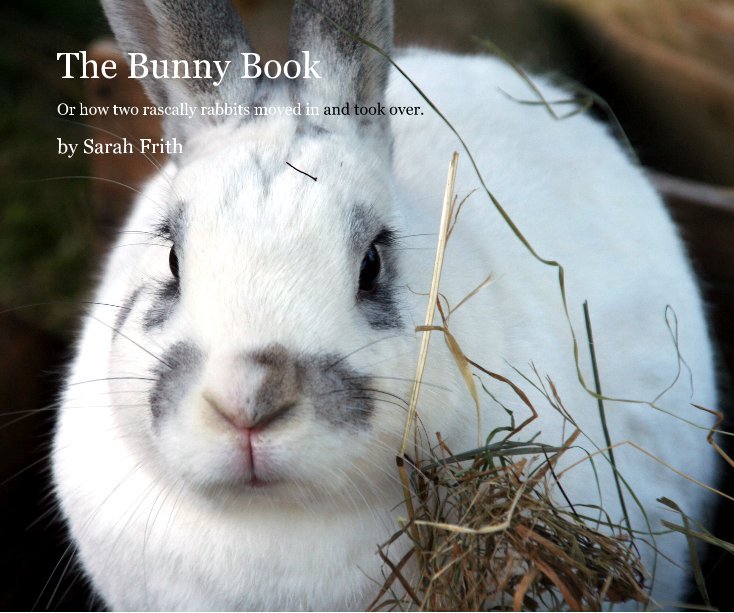 View The Bunny Book by Sarah Frith