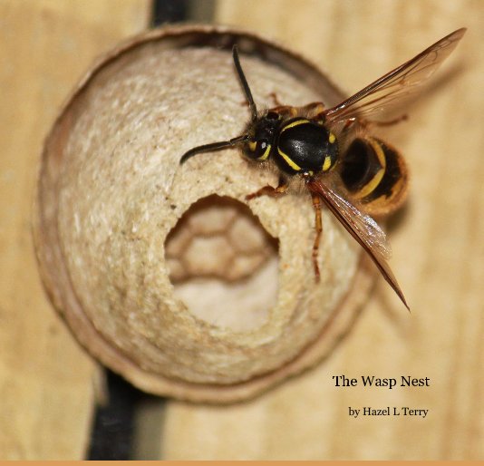 Ver The Wasp Nest por Hazel L Terry