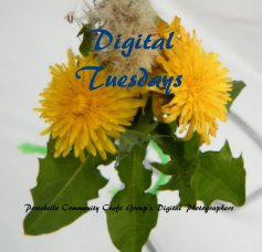 Digital Tuesdays book cover