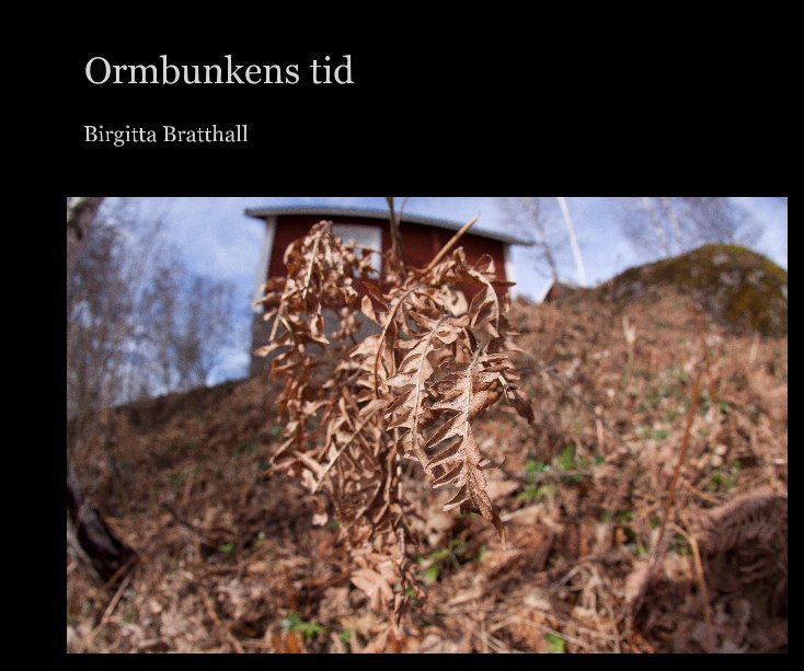 View Ormbunkens tid by Birgitta Bratthall
