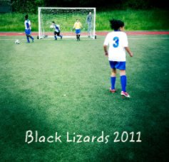 Black Lizards 2011 book cover