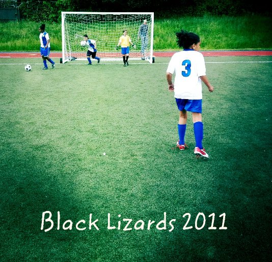 View Black Lizards 2011 by Lisa Richmond