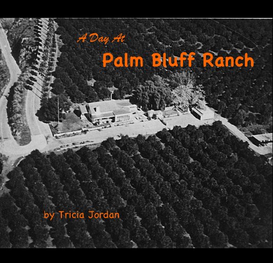 View A Day At Palm Bluff Ranch by Tricia Jordan