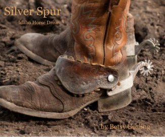 Silver Spur book cover