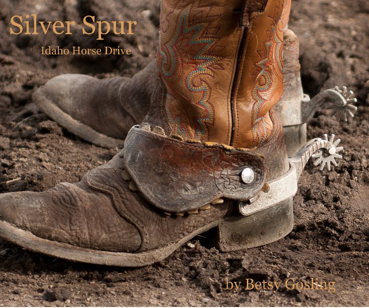 View Silver Spur by Betsy Gosling
