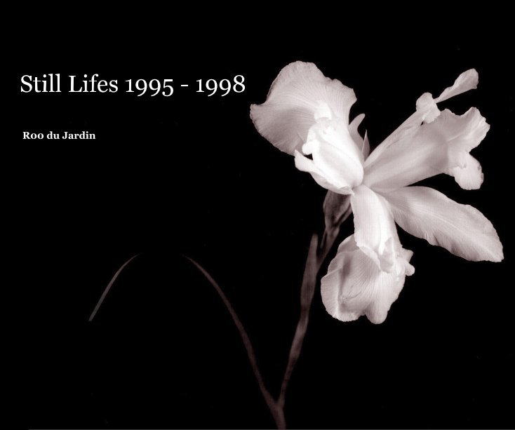 View Still Lifes 1995 - 1998 by Roo du Jardin
