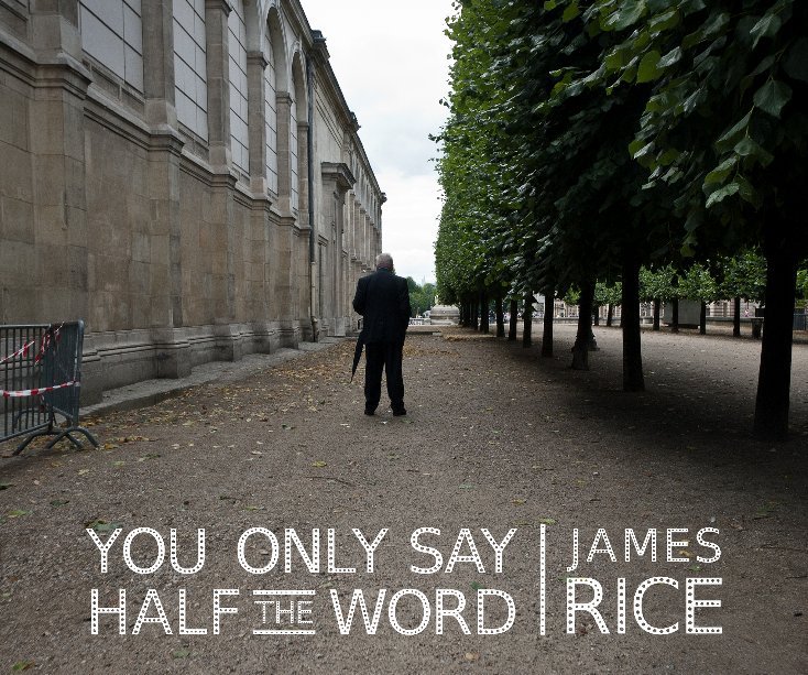 View You Only Say Half the Word by James Rice
