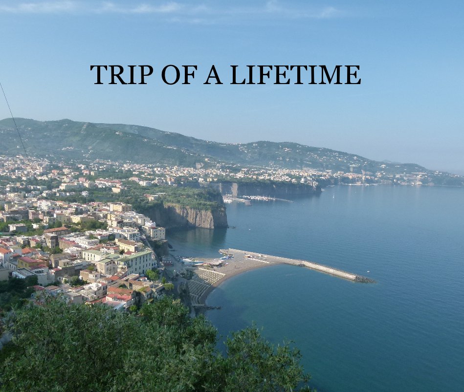View TRIP OF A LIFETIME by BETH SWANTON