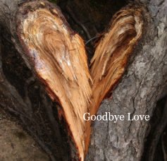 Goodbye Love book cover