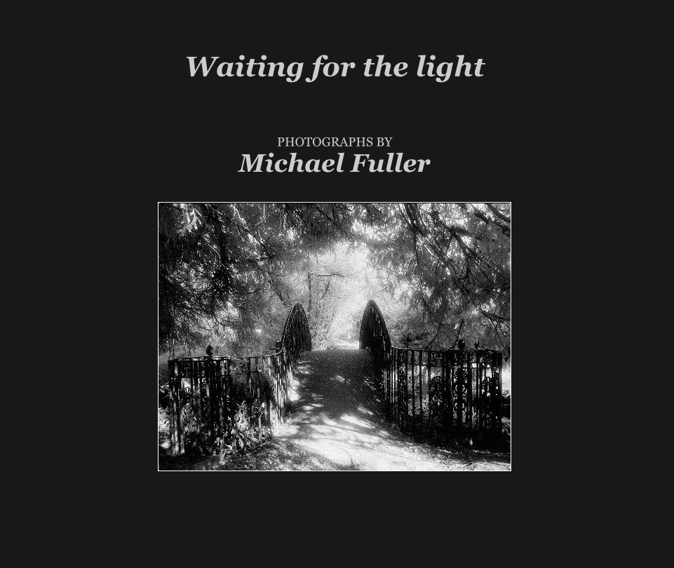 View Waiting for the light by Michael Fuller