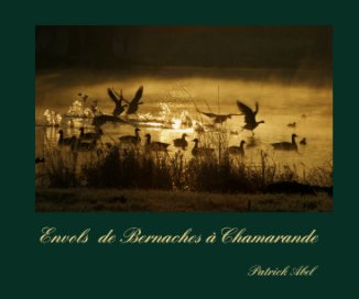 Envols  de Bernaches à Chamarande book cover