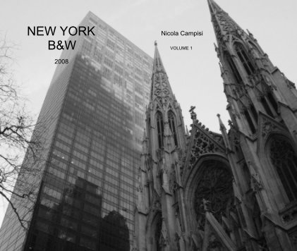 NEW YORK  B&W Nicola Campisi VOL. 1   2008 book cover