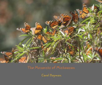 The Monarchs of Michoacan book cover