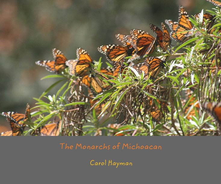 View The Monarchs of Michoacan by Carol Hayman