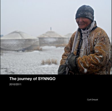 The journey of SYNNGO

2010/2011 book cover