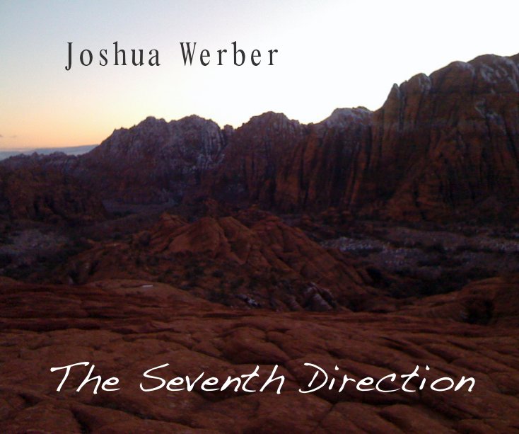 View The Seventh Direction by Joshua Werber