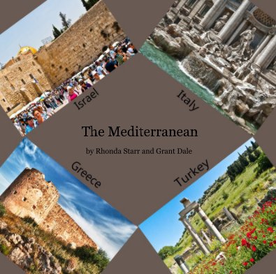 The Mediterranean book cover