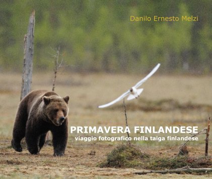 PRIMAVERA FINLANDESE book cover
