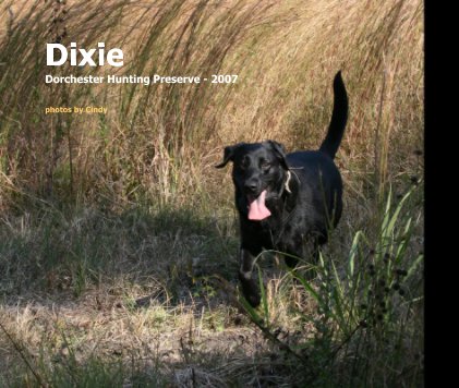 Dixie Dorchester Hunting Preserve - 2007 book cover