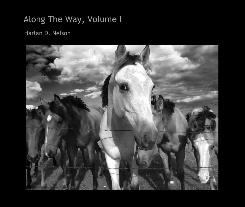 View Along The Way, Volume I by Harlan D. Nelson