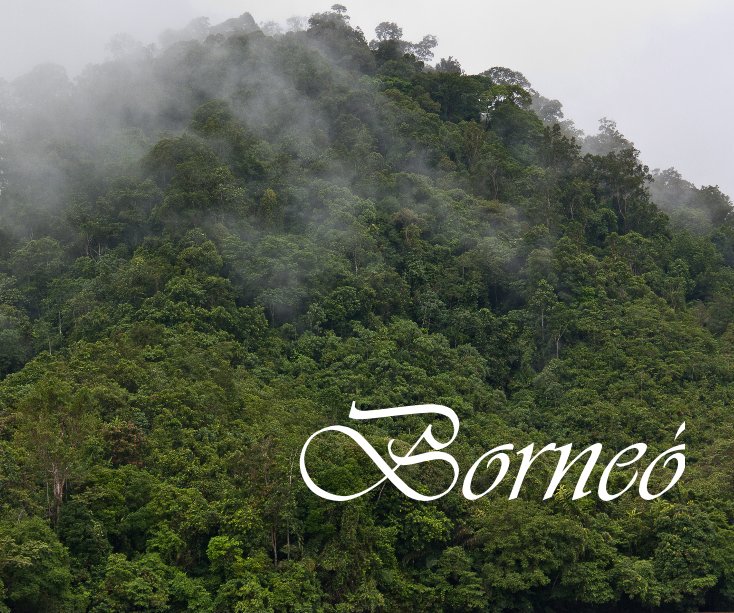 View Borneo by Tamas Brunner