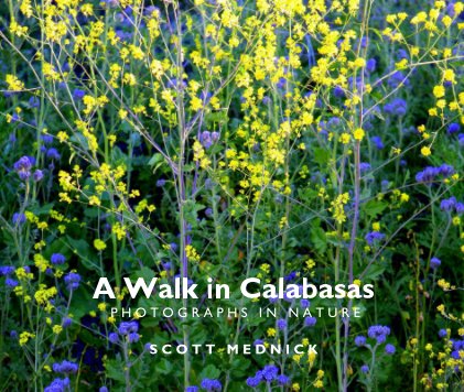 A Walk in Calabasas book cover